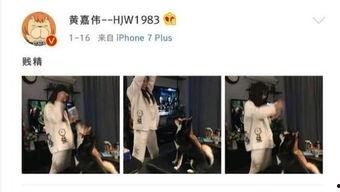 二次元吃瓜娱乐圈,二次元与娱乐圈的跨界吃瓜盛宴